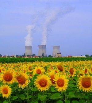 nucleaire-emplois-france