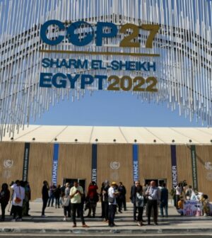 cop 27