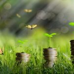 La finance verte, clé d’un avenir durable