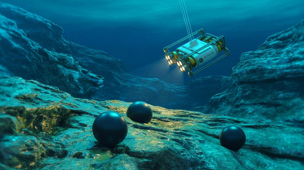 Illustration de la découverte de capsules d'œufs noirs à 6 000 mètres de profondeur dans la fosse des Kouriles-Kamtchatka.