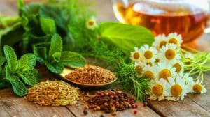 Illustration de l'usage des herbes et épices pour améliorer la digestion.